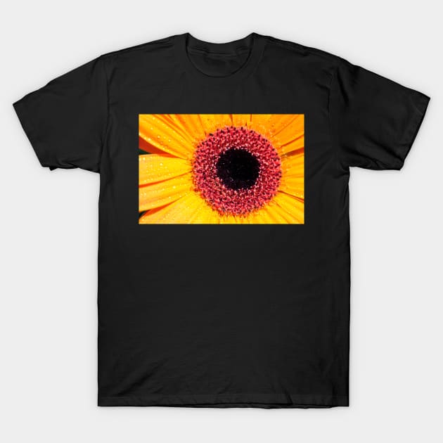 Yellow Gerbera with raindrops T-Shirt by marina63